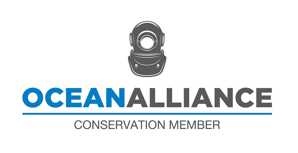 OACM Internal Reconstruction