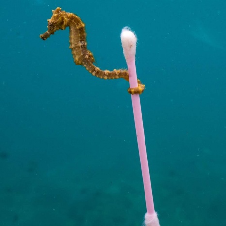 Global Plastic Extraction Tracking Device EOMD