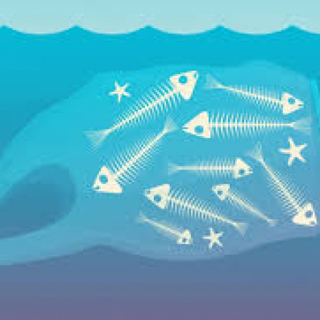 Global Plastic Extraction Tracking Device EOMD