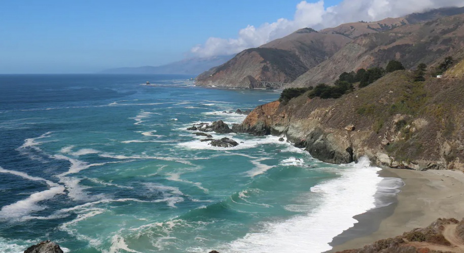 Whiteflag International