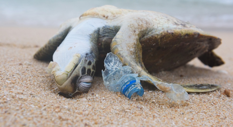 OACM Pay TV Service 2022