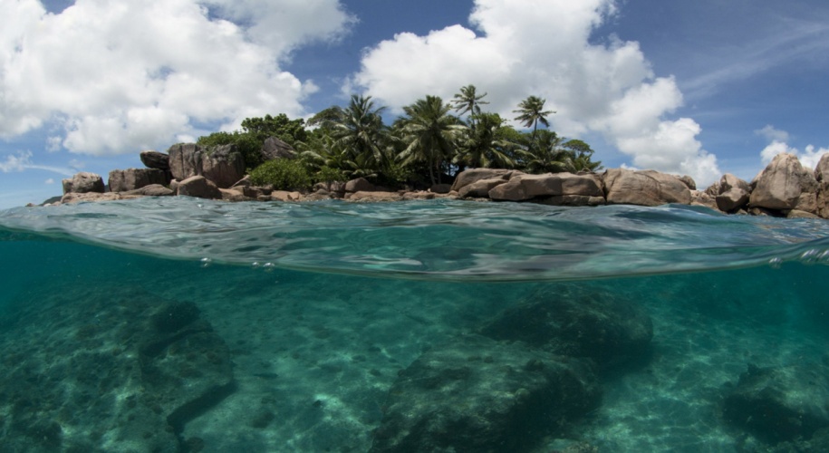 Building an environmental media alliance